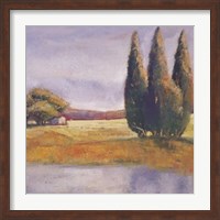 Sunset Cypress Fine Art Print