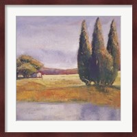 Sunset Cypress Fine Art Print