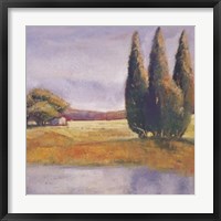Sunset Cypress Fine Art Print