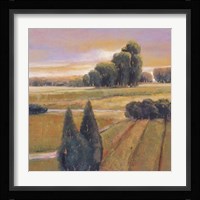 Summer Cypress Fine Art Print