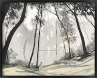 Black Forest Fine Art Print