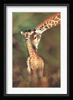 Tender Love Fine Art Print