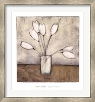 Tulipa Group I Fine Art Print