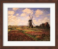 Tulip Fields with Windmill Fine Art Print