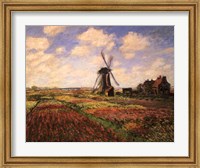 Tulip Fields with Windmill Fine Art Print