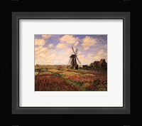 Tulip Fields with Windmill Framed Print