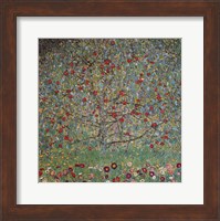 The Apple Tree Fine Art Print