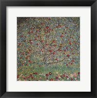 The Apple Tree Fine Art Print