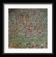 The Apple Tree Fine Art Print