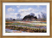 Tulip Fields at Sassenheim Fine Art Print