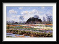 Tulip Fields at Sassenheim Fine Art Print