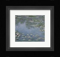 Waterlilies Fine Art Print