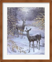 Early Snow Fine Art Print