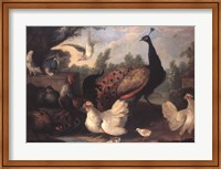 Barnyard with Chickens Fine Art Print