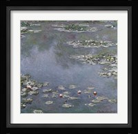 Waterlilies Fine Art Print
