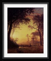 Light in the Forest Fine Art Print