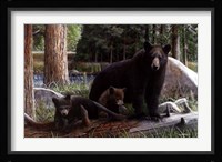 New Discoveries Fine Art Print