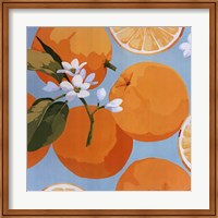 Fresh Oranges Fine Art Print