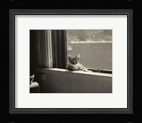Kitty in the Window Fine Art Print