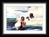 Turtle Pound Fine Art Print