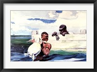 Turtle Pound Fine Art Print