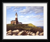 Turtle Cove Hill Fine Art Print