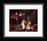 Owns Up Fine Art Print