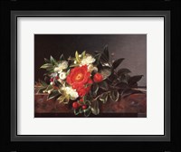 Camellia's Hypericum Fine Art Print