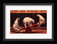 Adams Bros Int'l Circus Fine Art Print