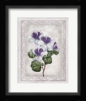 Flowers of Spring II Fine Art Print