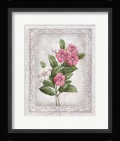Flowers of Spring III Fine Art Print