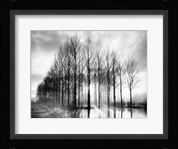 Trees in Normandy Fine Art Print