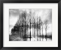 Trees in Normandy Fine Art Print