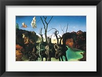 Swans Reflecting Elephants, c.1937 Framed Print