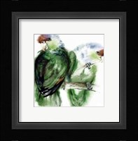 Blaukappen-Amazonen (Amazona Aestiva) Fine Art Print