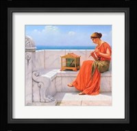 Sweet Sounds Fine Art Print