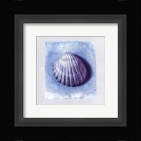 Coquillage Fine Art Print
