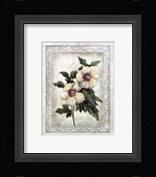 Flowers of Spring I Fine Art Print