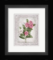 Flowers of Spring III Fine Art Print