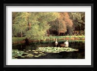 The Lily Pond, Shudbrook, Near Lincoln Fine Art Print