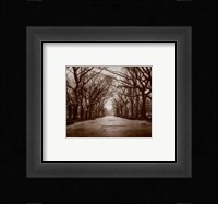 Central Park Fine Art Print