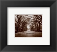Central Park Fine Art Print