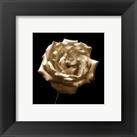 Flower Series III Fine Art Print