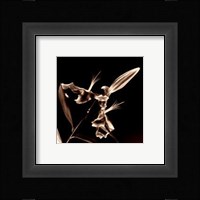 Flower Series V Fine Art Print