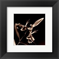 Flower Series V Fine Art Print