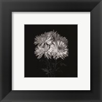 Flower Series IX Fine Art Print