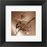 Flower Series X Fine Art Print