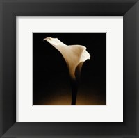 Flower Series XII Fine Art Print