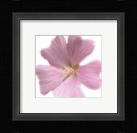 Petales Roses I Fine Art Print