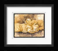 Sleeping Lions Fine Art Print